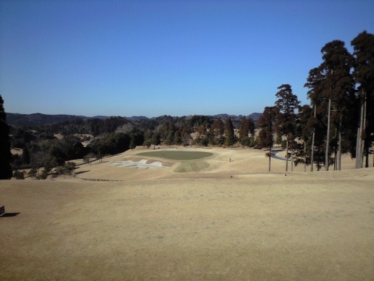 img20090120_3b.jpg