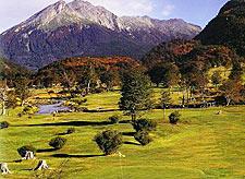 img20090303_2.jpg