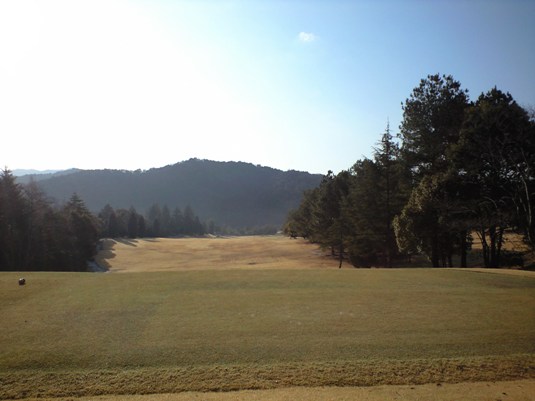 img20090312.jpg