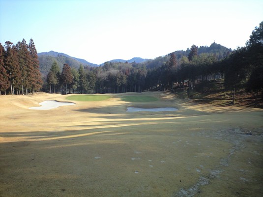 img20090312_1.jpg