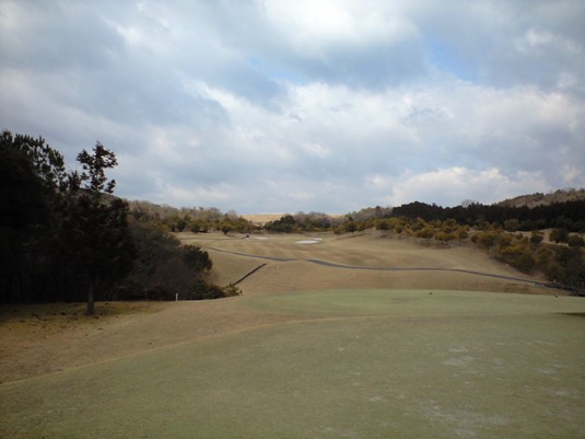 img20090312_1a.jpg