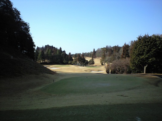 img20090312_3.jpg