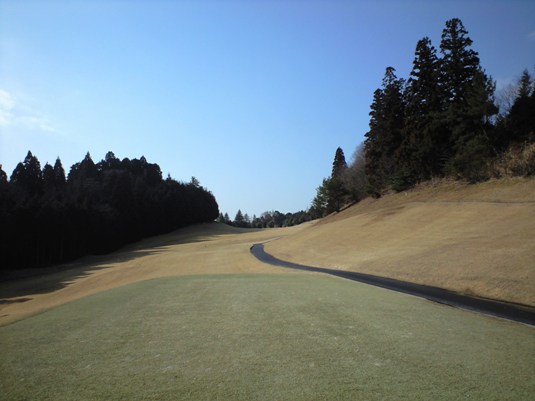 img20090312_4.jpg