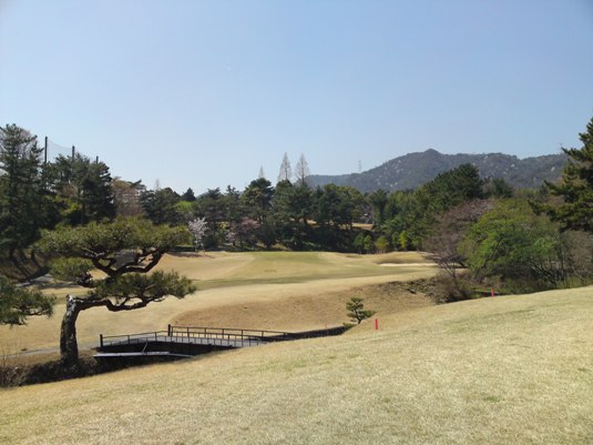 img20090415_1a.jpg