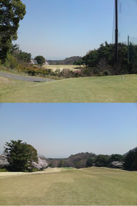 img20090415_2a.jpg