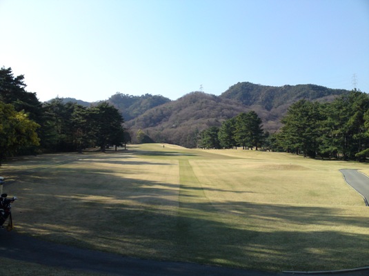 img20090415_3c.jpg