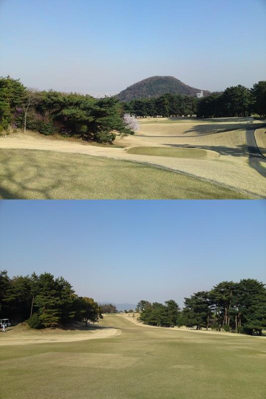 img20090415_4c.jpg