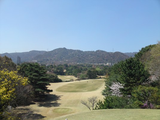 img20090415a.jpg