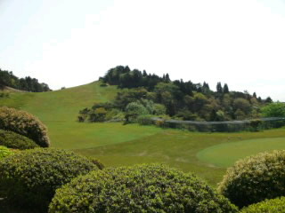 img20090509.jpg