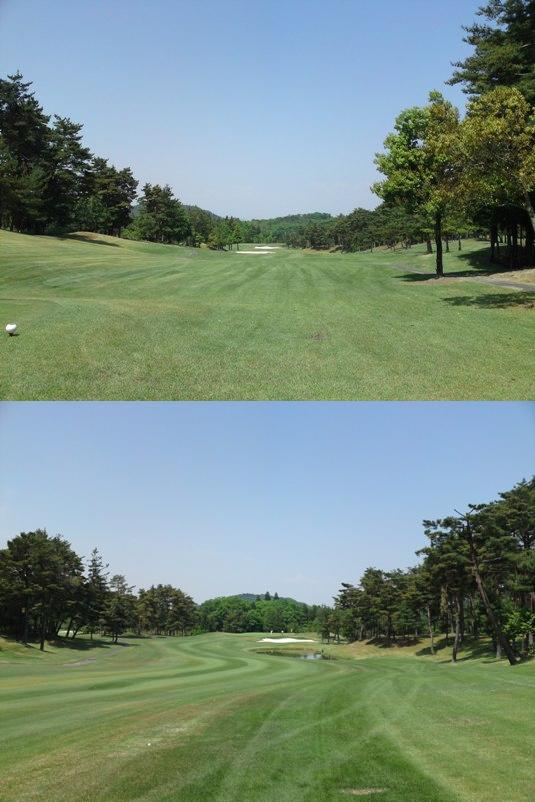 img20090517_1.jpg