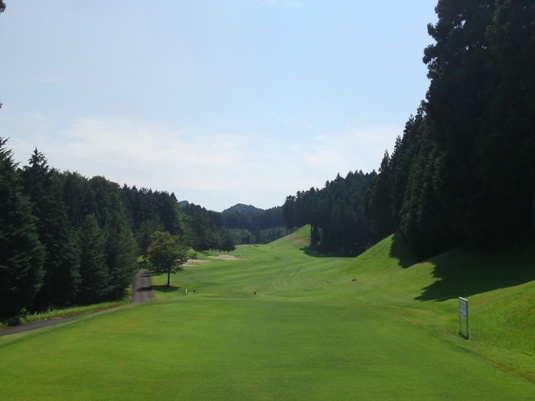n03aSN3J0157.JPG