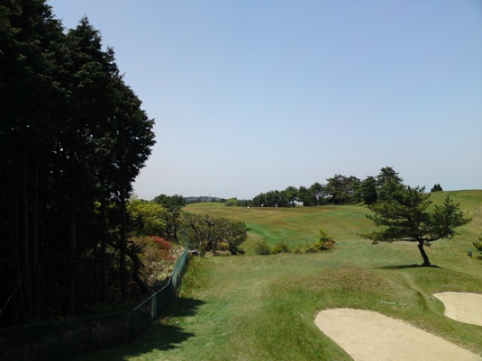pattimg20090510.jpg