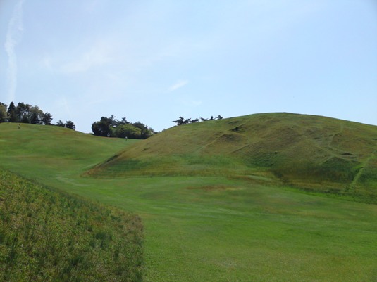 pondsimg20090510_2.jpg