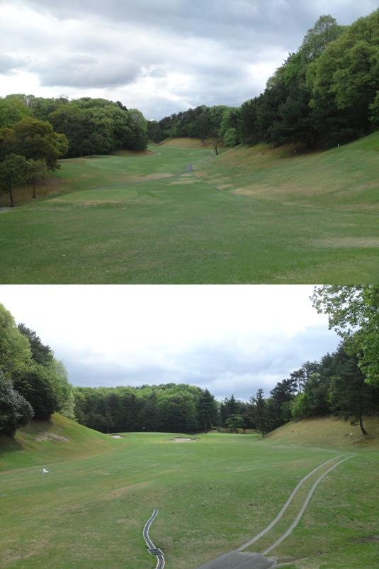 setahigashi1img20090424.jpg