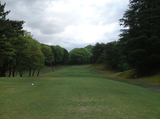 setahigashi1img20090424_2.jpg