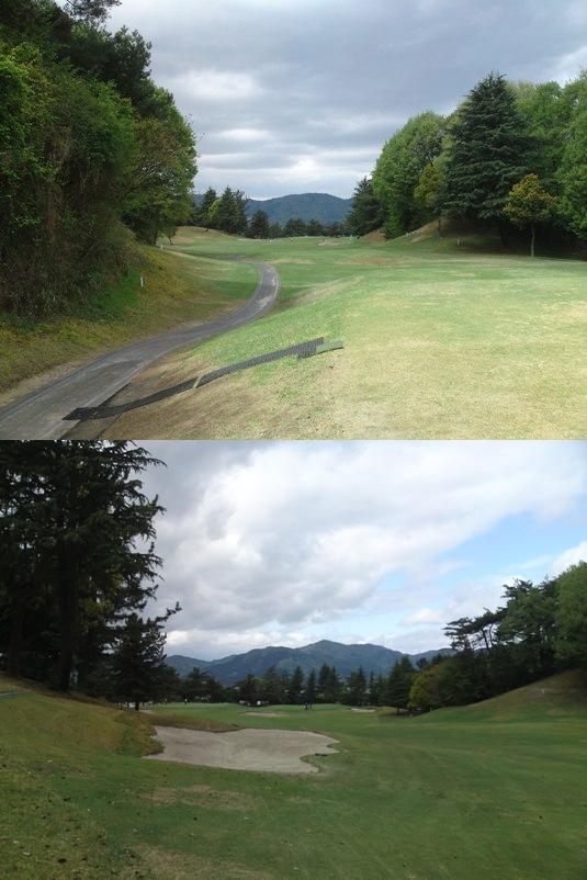 setahigashi1img20090424_4.jpg