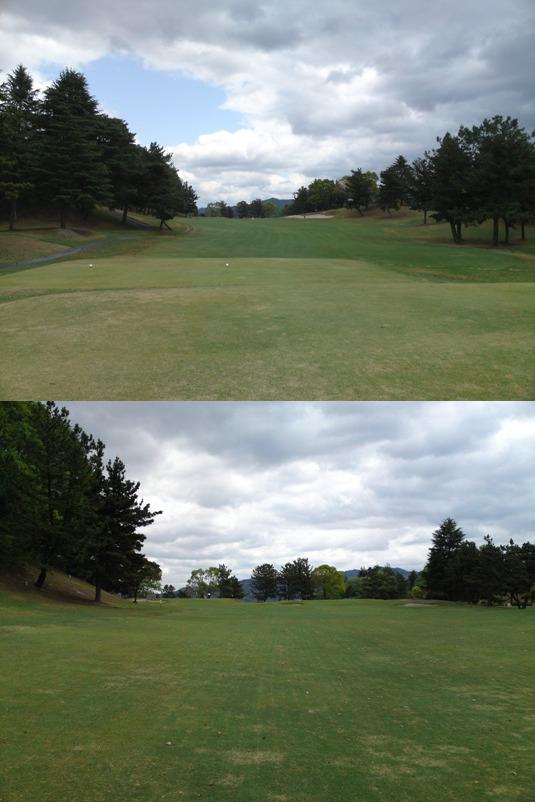 setahigashi2img20090424.jpg