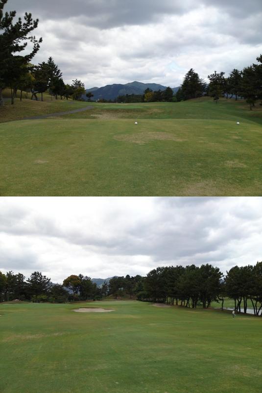 setahigashi2img20090424_1.jpg