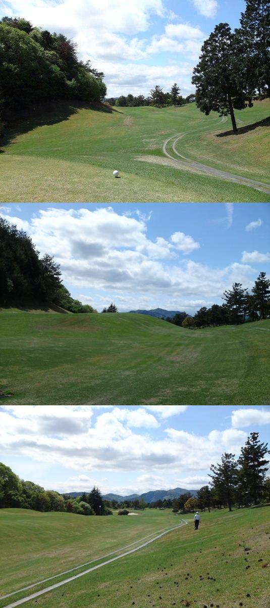 setahigashi3img20090424_2.jpg