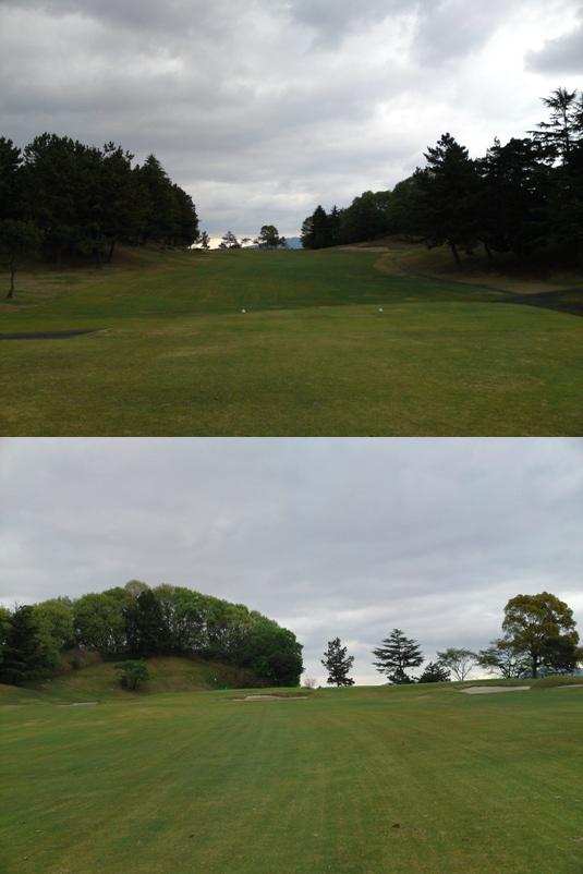 setahigashiimg20090424.jpg