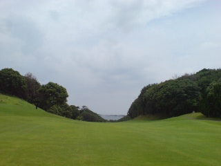 toimg20080712_3.jpg