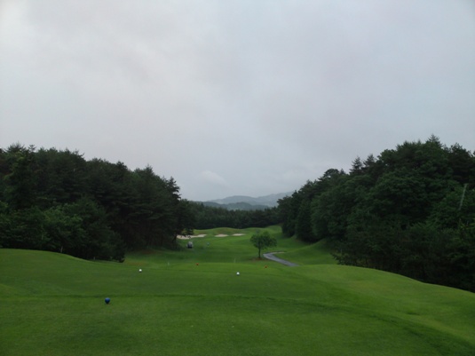y03aSN3J0010.JPG