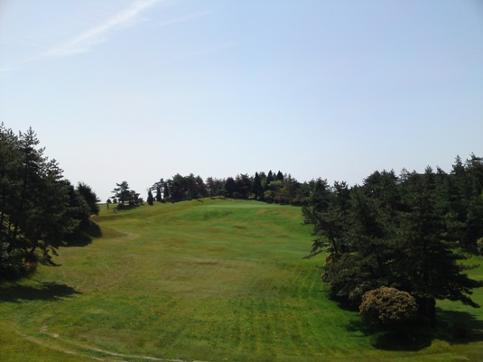 yokohamaimg20090510_3.jpg
