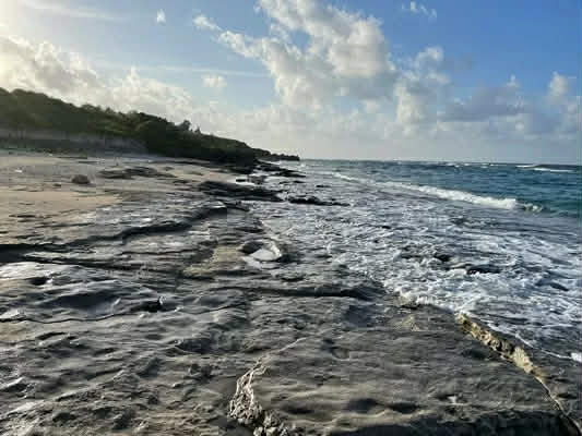沖永良部島