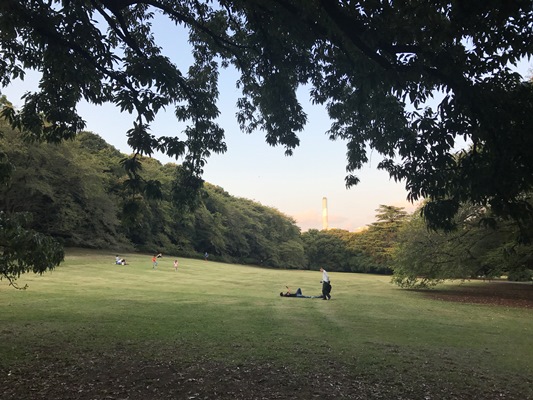 東京都砧ゴルフ場跡 閉鎖されて公園となった東京都のコース ゴルフバカの気まぐれブログゴルフバカの気まぐれブログ