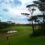 e!Golf「ゴルフ旅のススメ」第12回の石垣島・小浜島が掲載されました